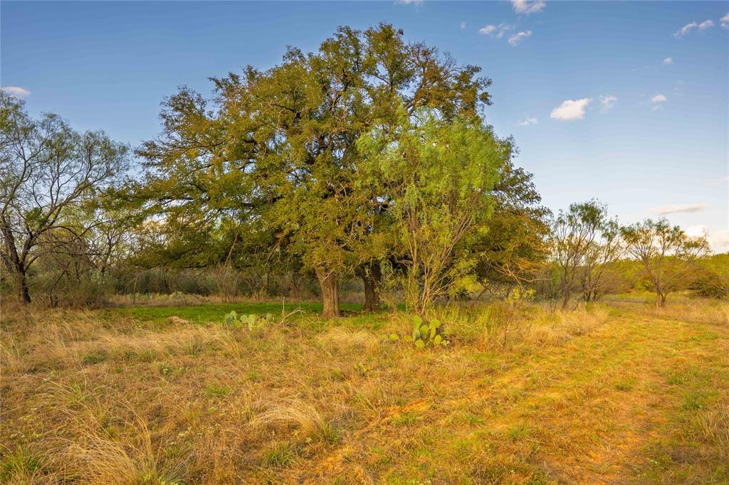 70 W Cr 532 - Photo 12