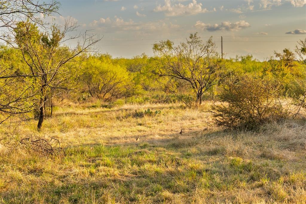 70 W Cr 532 - Photo 29