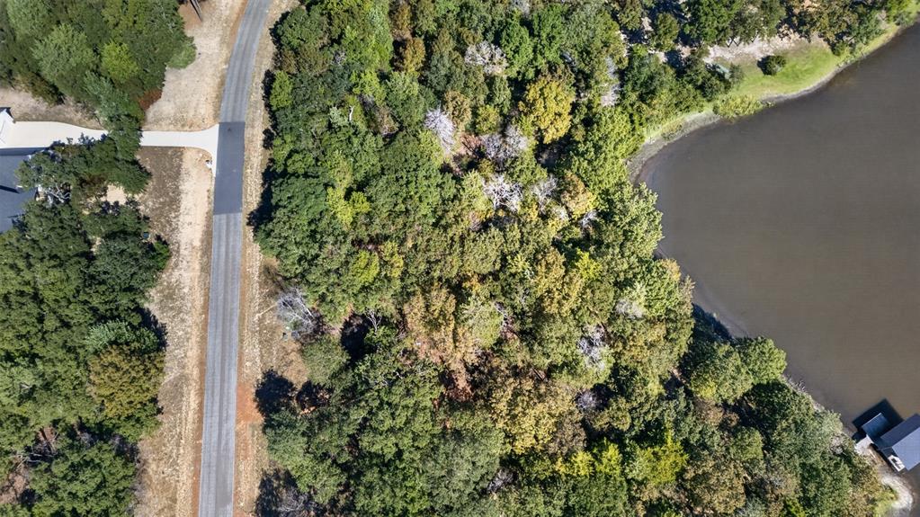 0 Safari Shores Drive - Photo 14