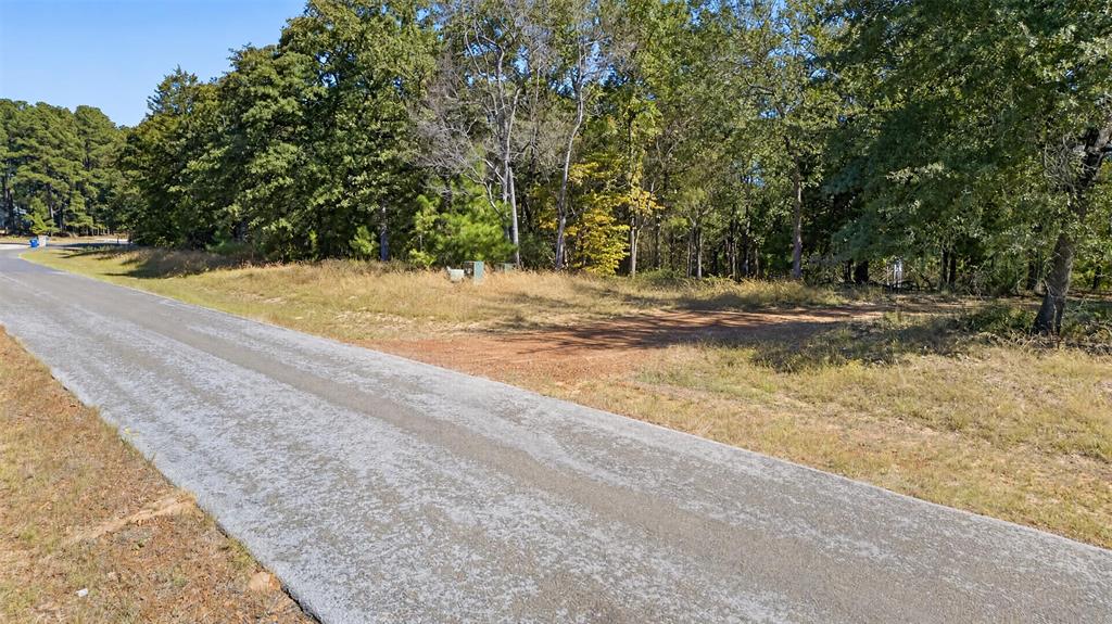 0 Safari Shores Drive - Photo 17
