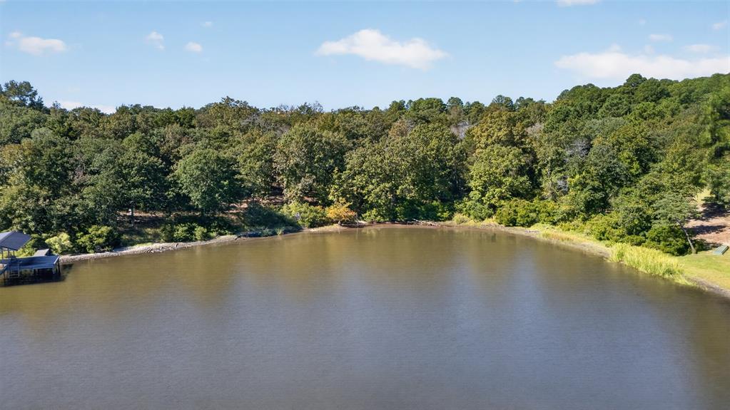 0 Safari Shores Drive - Photo 4