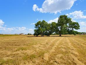 2160 County Road 4371 - Photo 16