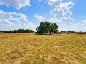 2160 County Road 4371 - Photo 3