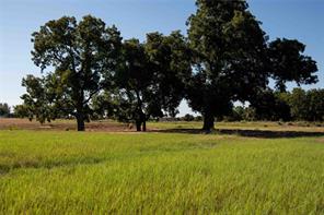 2160 County Road 4371 - Photo 36