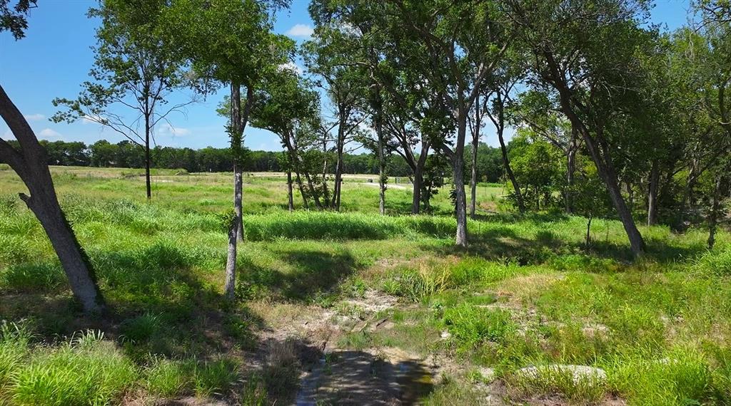 504 Bayleelove Lane - Photo 3