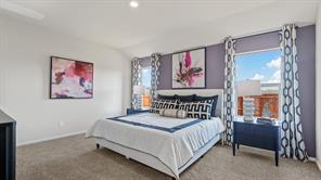 10717 BLACK ONYX Drive - Photo 19