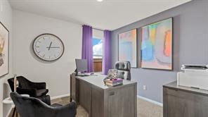 10717 BLACK ONYX Drive - Photo 31