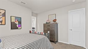 10717 BLACK ONYX Drive - Photo 37