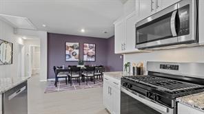 10717 BLACK ONYX Drive - Photo 5