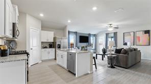 10717 BLACK ONYX Drive - Photo 6