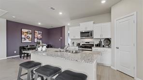 10717 BLACK ONYX Drive - Photo 8