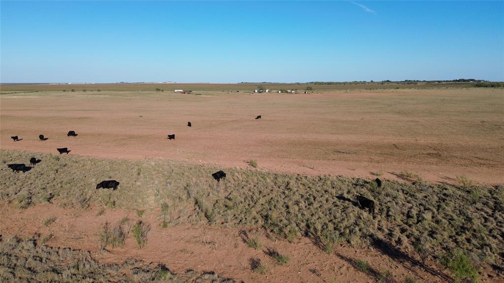 13725 County Road 455 - Photo 1