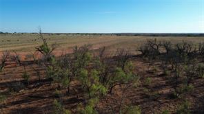 13725 County Road 455 - Photo 10