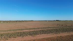 13725 County Road 455 - Photo 11