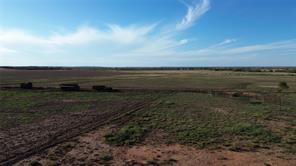 13725 County Road 455 - Photo 14