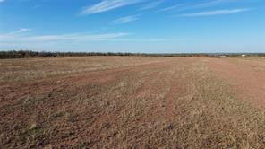 13725 County Road 455 - Photo 5