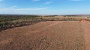 13725 County Road 455 - Photo 6