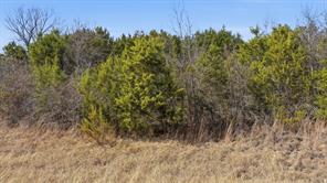 TBD Bluegill Ridge - Photo 14