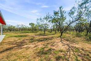 3445 County Road 337 - Photo 28