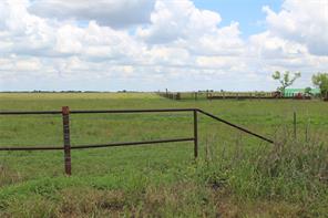 TBD County Road 428 - Photo 4