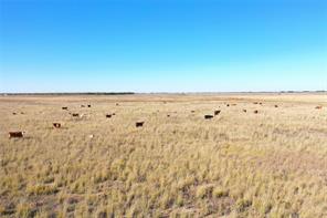 TBD County Road 428 - Photo 7