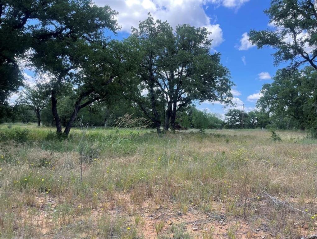 000 Lower Tonk Valley Road - Photo 20