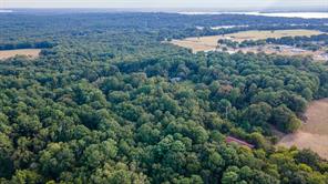 0 Farm-to-Market 344 W - Photo 5