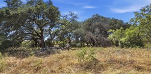 895 Pr 202 / Hwy 281 - Photo 22