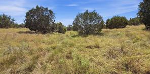 895 Pr 202 / Hwy 281 - Photo 23