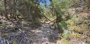 895 Pr 202 / Hwy 281 - Photo 24