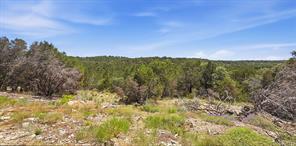 895 Pr 202 / Hwy 281 - Photo 25