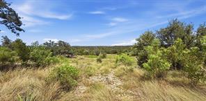 895 Pr 202 / Hwy 281 - Photo 3