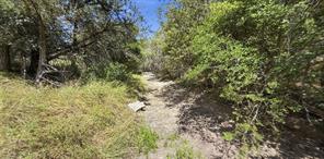 895 Pr 202 / Hwy 281 - Photo 8