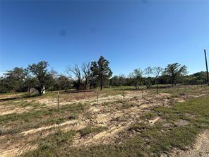 TBD Wild Hill Oak Drive - Photo 13