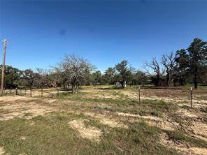 TBD Wild Hill Oak Drive - Photo 14