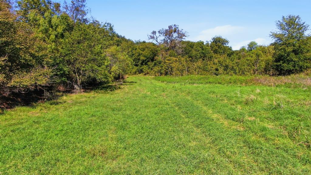 TBD County Road 185 - Photo 4