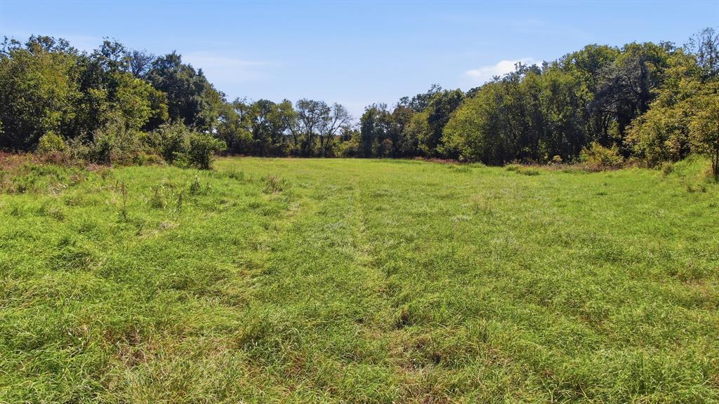 TBD County Road 185 - Photo 5
