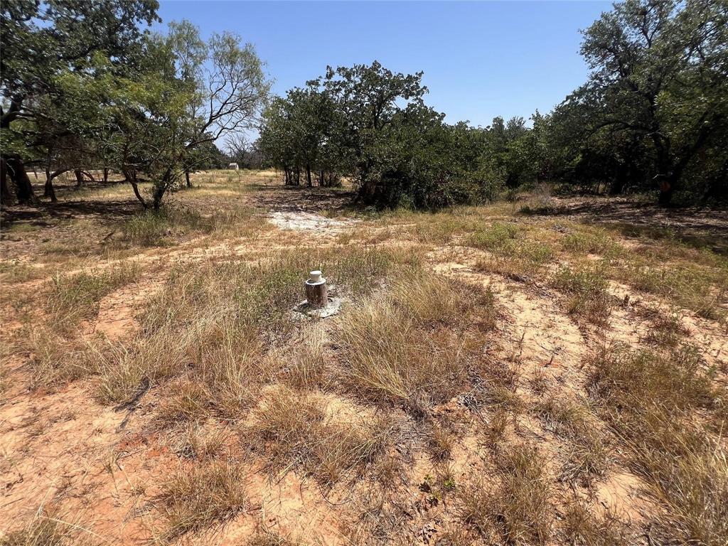 TBD Wild Hill Oak Drive - Photo 10