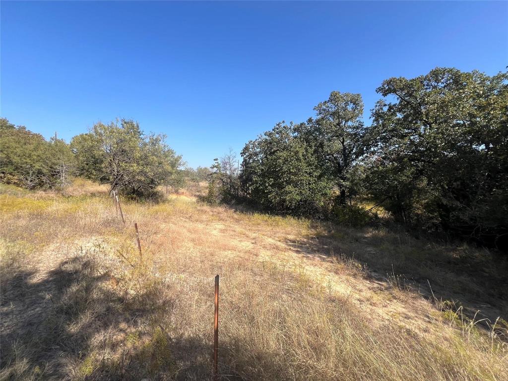 TBD Wild Hill Oak Drive - Photo 5