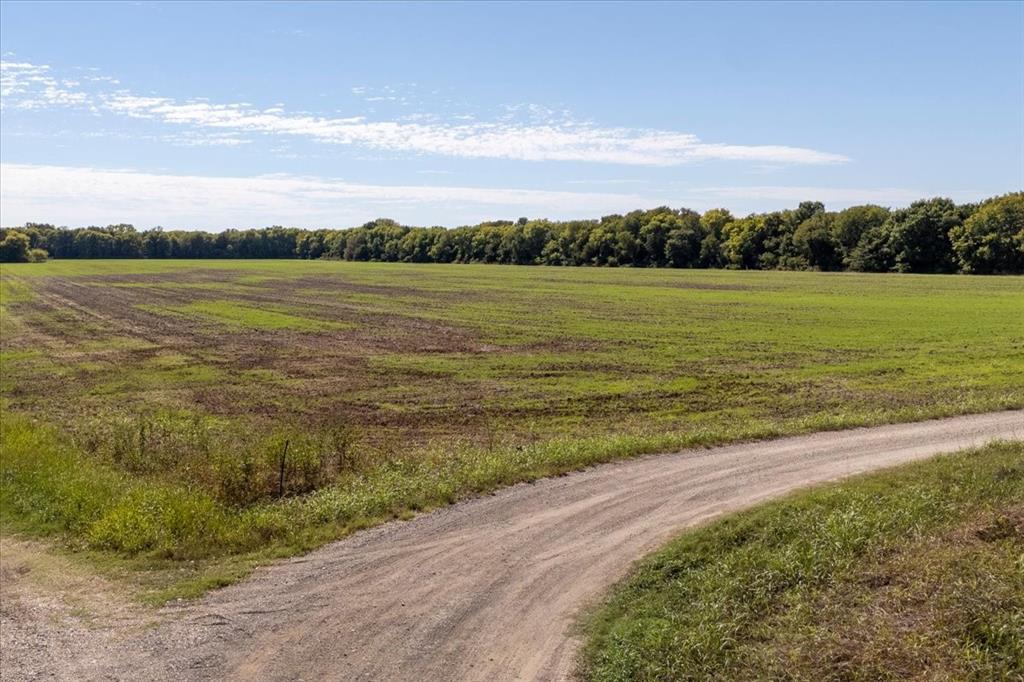 150+/- acres TBD Cr 4700 - Photo 1