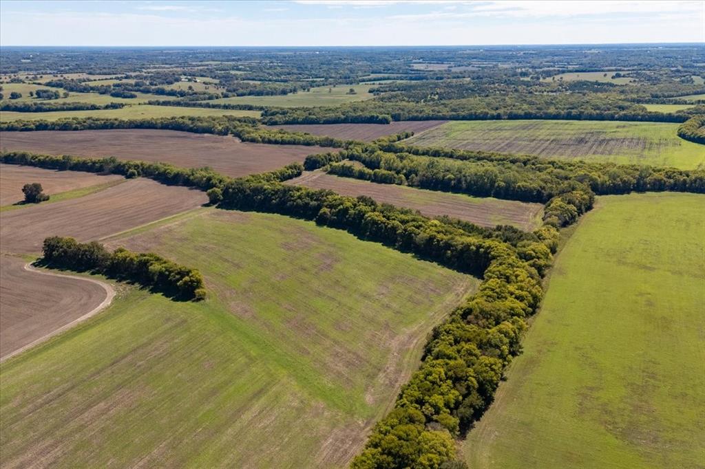 150+/- acres TBD Cr 4700 - Photo 11