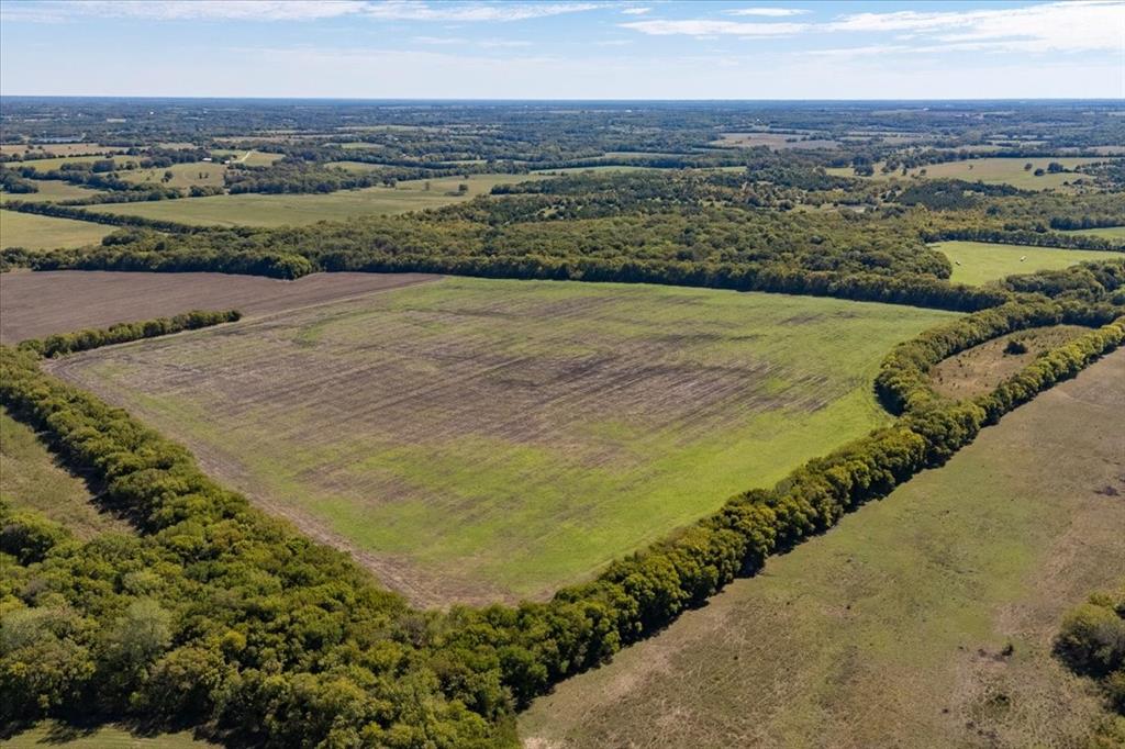 150+/- acres TBD Cr 4700 - Photo 15