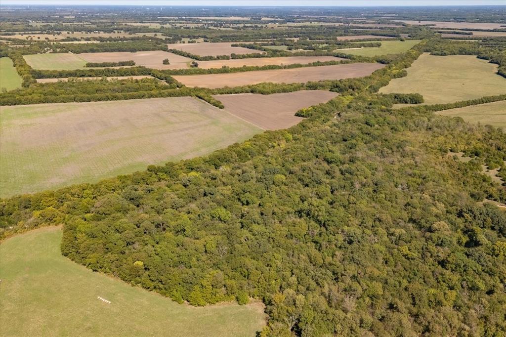 150+/- acres TBD Cr 4700 - Photo 20