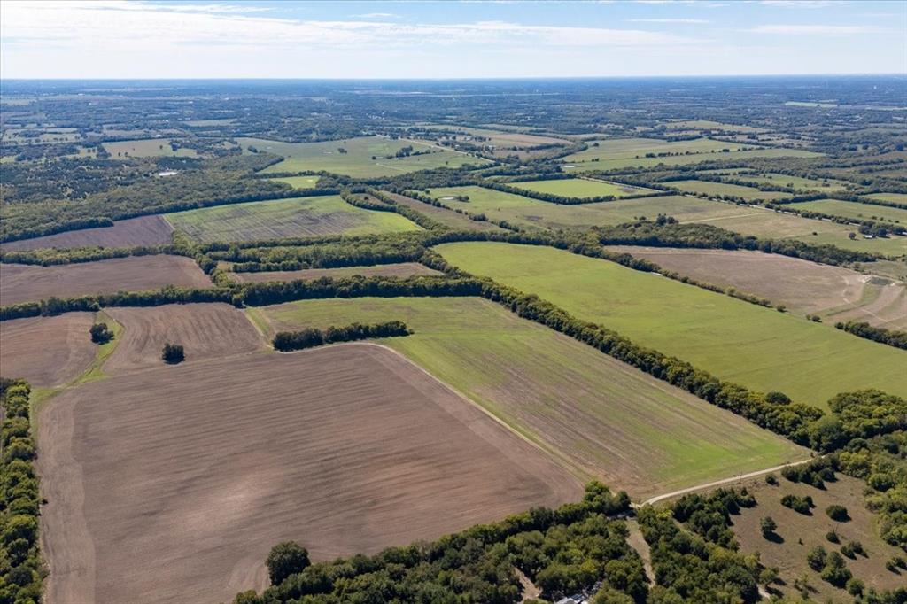 150+/- acres TBD Cr 4700 - Photo 6