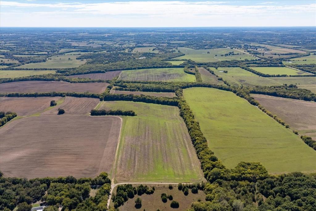 150+/- acres TBD Cr 4700 - Photo 7