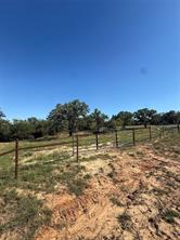 TBD Wild Hill Oak Drive - Photo 4