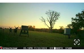 213 Northline Road - Photo 31