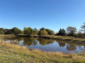 213 Northline Road - Photo 34