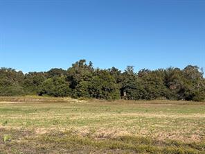 213 Northline Road - Photo 35