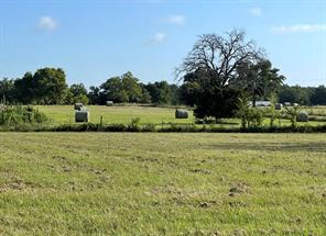 213 Northline Road - Photo 36